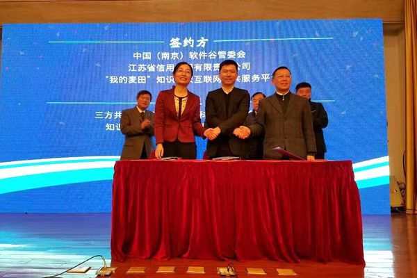 公司与南京市知识产权局及中国（南京）软件谷签署战略合(图1)