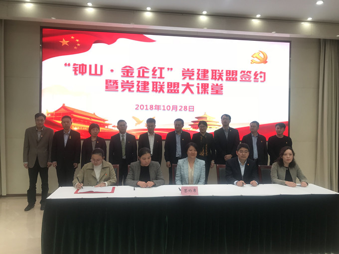 10.28党建联盟图片_副本.jpg